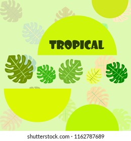 tropical summer tropical plant vector background