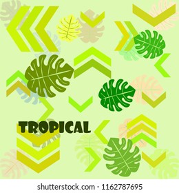 tropical summer tropical plant vector background