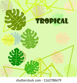 tropical summer tropical plant vector background