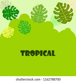 tropical summer tropical plant vector background