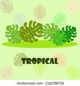tropical summer tropical plant vector background