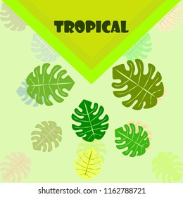 tropical summer tropical plant vector background