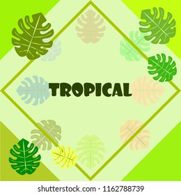 tropical summer tropical plant vector background