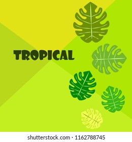 tropical summer tropical plant vector background
