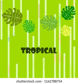 tropical summer tropical plant vector background