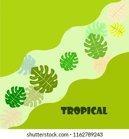 tropical summer tropical plant vector background