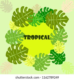 tropical summer tropical plant vector background