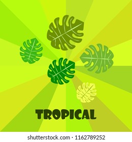 tropical summer tropical plant vector background