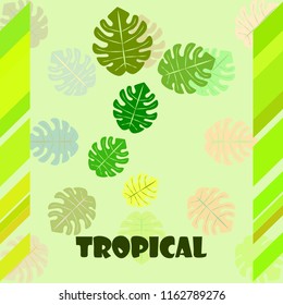 tropical summer tropical plant vector background