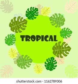 tropical summer tropical plant vector background