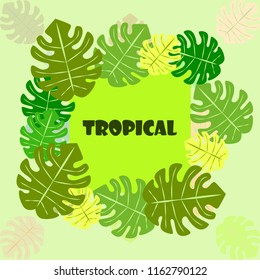tropical summer tropical plant vector background