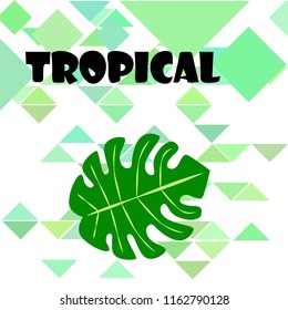 tropical summer tropical plant vector background
