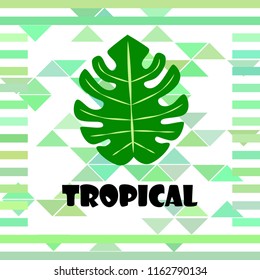 tropical summer tropical plant vector background