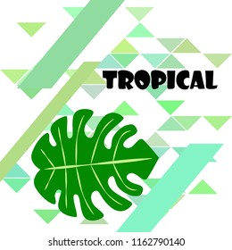 tropical summer tropical plant vector background tropical summer tropical plant vector background