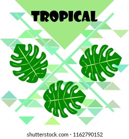 tropical summer tropical plant vector background