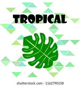 tropical summer tropical plant vector background