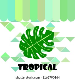 tropical summer tropical plant vector background