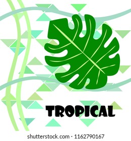 tropical summer tropical plant vector background