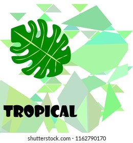 tropical summer tropical plant vector background