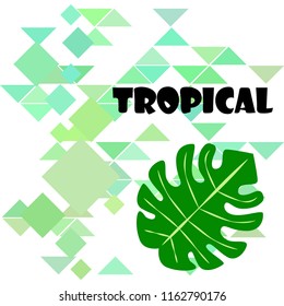 tropical summer tropical plant vector background
