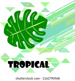 tropical summer tropical plant vector background