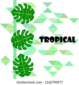 tropical summer tropical plant vector background