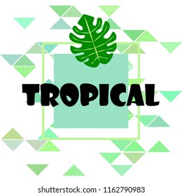 tropical summer tropical plant vector background