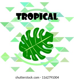 tropical summer tropical plant vector background