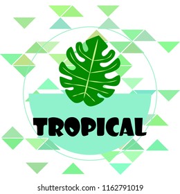tropical summer tropical plant vector background
