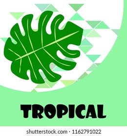tropical summer tropical plant vector background