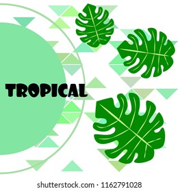 tropical summer tropical plant vector background