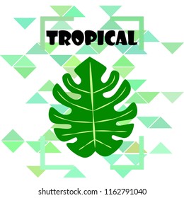 tropical summer tropical plant vector background
