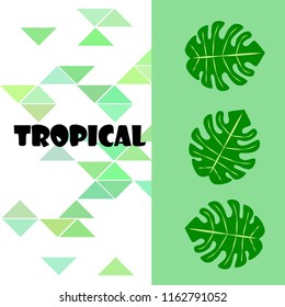 tropical summer tropical plant vector background