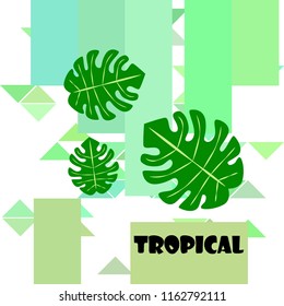 tropical summer tropical plant vector background