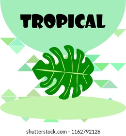 tropical summer tropical plant vector background