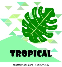 tropical summer tropical plant vector background