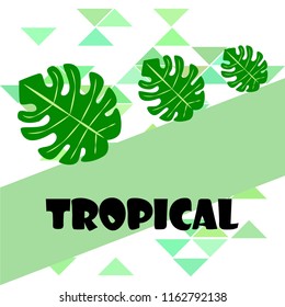 tropical summer tropical plant vector background