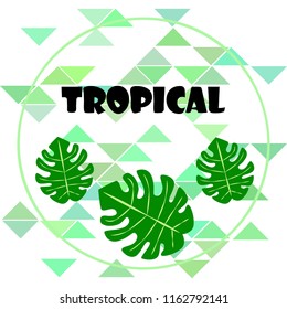 tropical summer tropical plant vector background