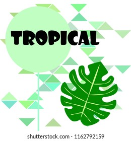 tropical summer tropical plant vector background