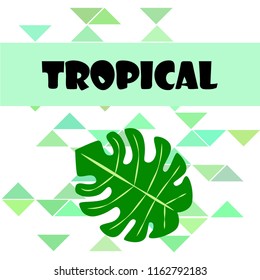 tropical summer tropical plant vector background