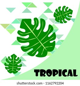 tropical summer tropical plant vector background
