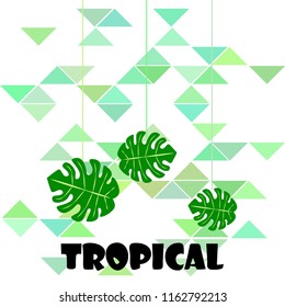 tropical summer tropical plant vector background
