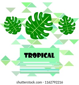 tropical summer tropical plant vector background
