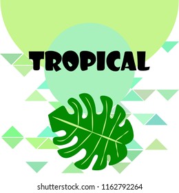 tropical summer tropical plant vector background