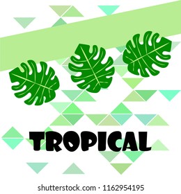 tropical summer tropical plant vector background