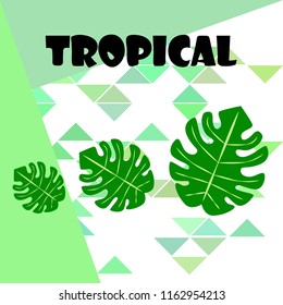 tropical summer tropical plant vector background