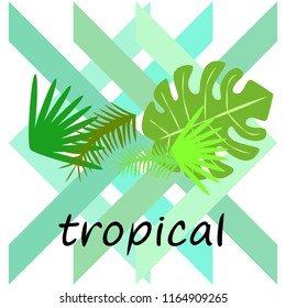 tropical summer tropical plant vector background