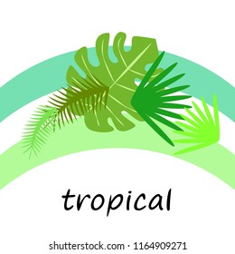 tropical summer tropical plant vector background