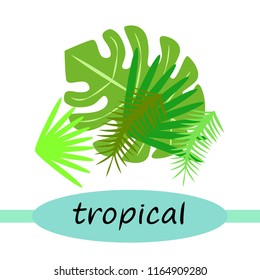 tropical summer tropical plant vector background