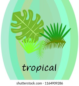 tropical summer tropical plant vector background